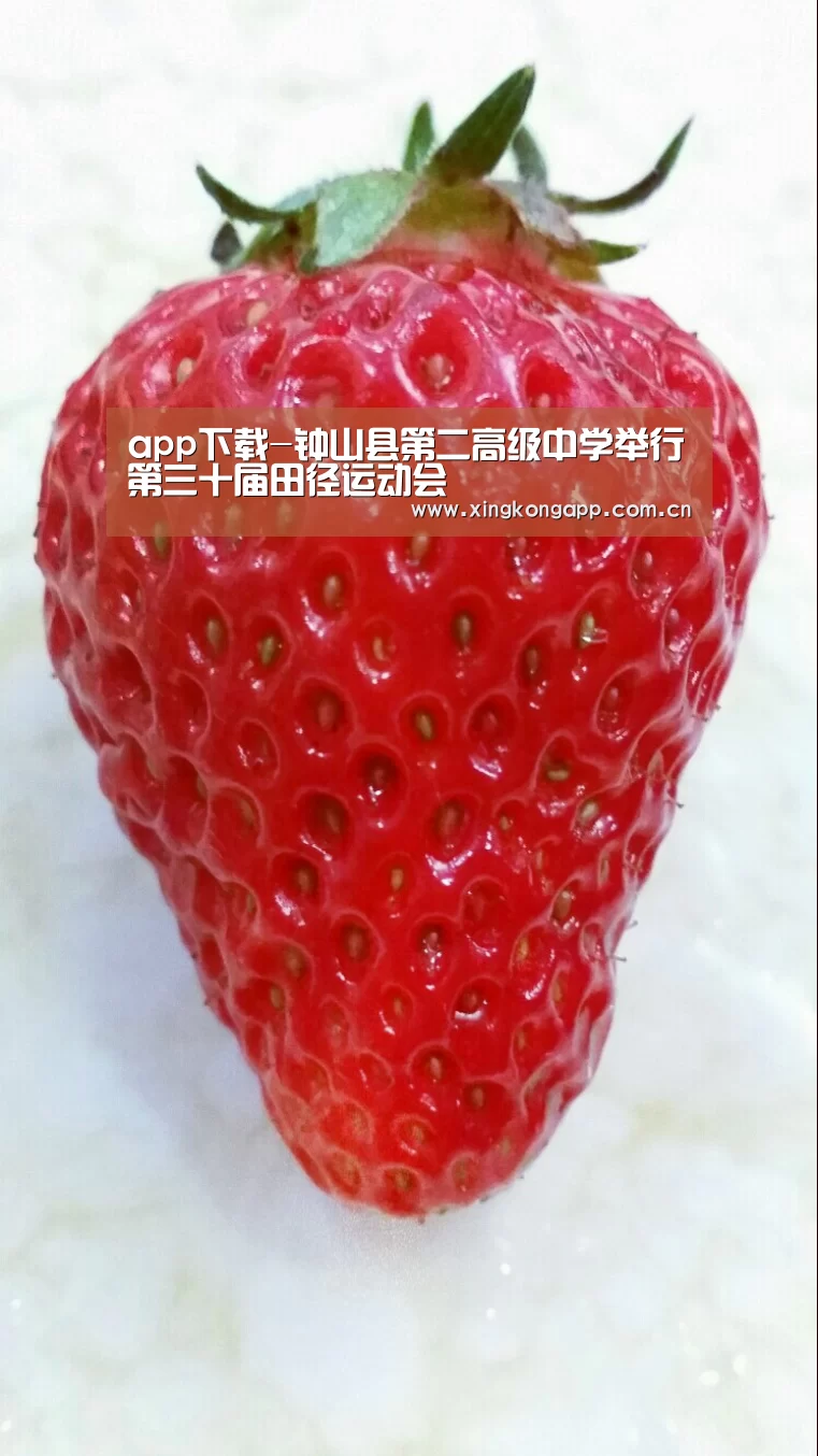 app下载-钟山县第二高级中学举行第三十届田径运动会(图1)