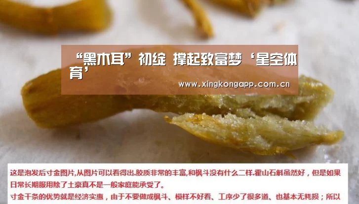 “黑木耳”初绽 撑起致富梦‘星空体育’(图4) app下载