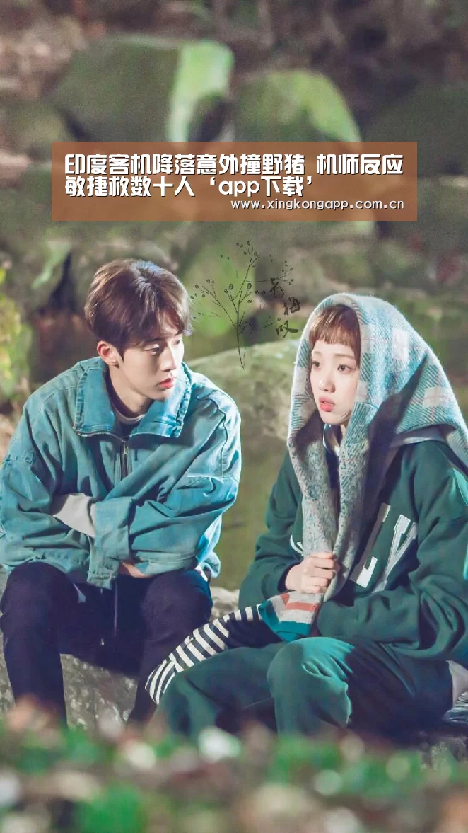 app下载