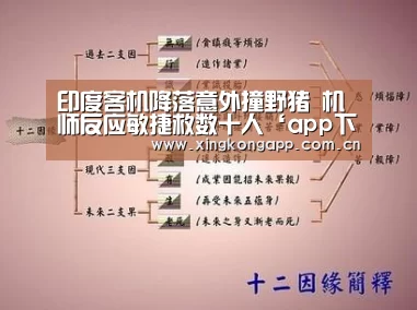 app下载