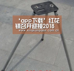 ‘app下载’红花镇召开迎接2018年全区脱贫攻坚大督查工作