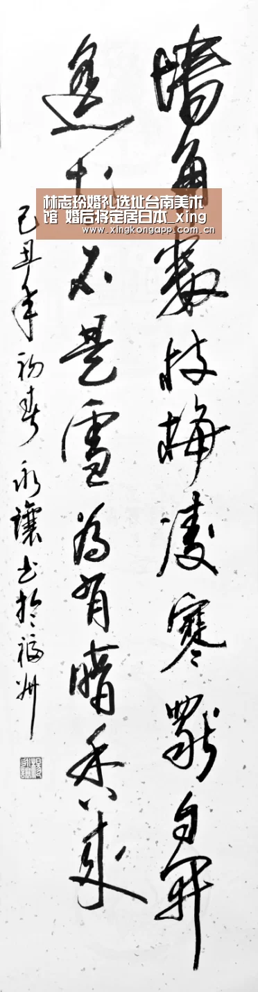 星空体育APP