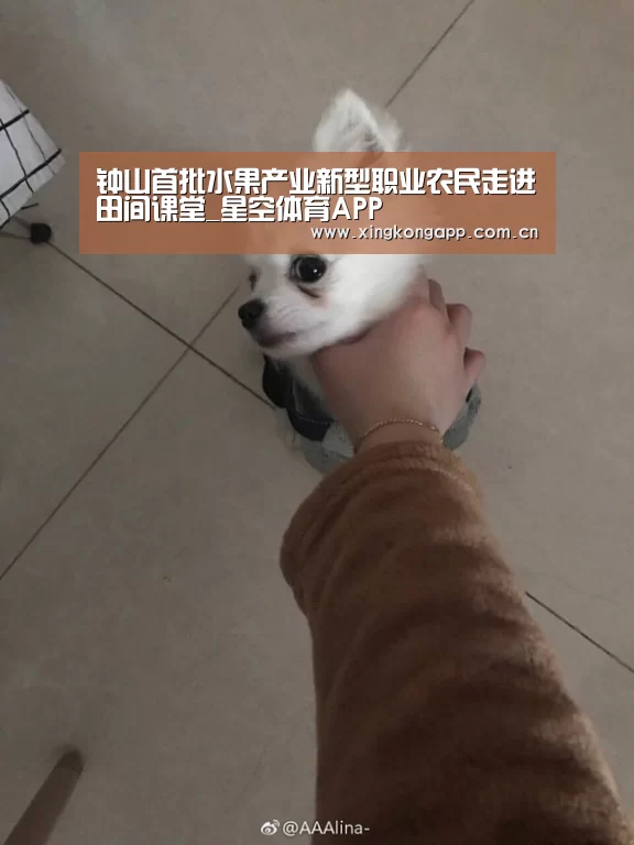 钟山首批水果产业新型职业农民走进田间课堂_星空体育APP(图3) 星空体育APP